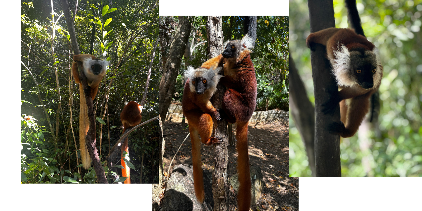 HOME VENUE ACCOMODATION INFO RSVP (11)