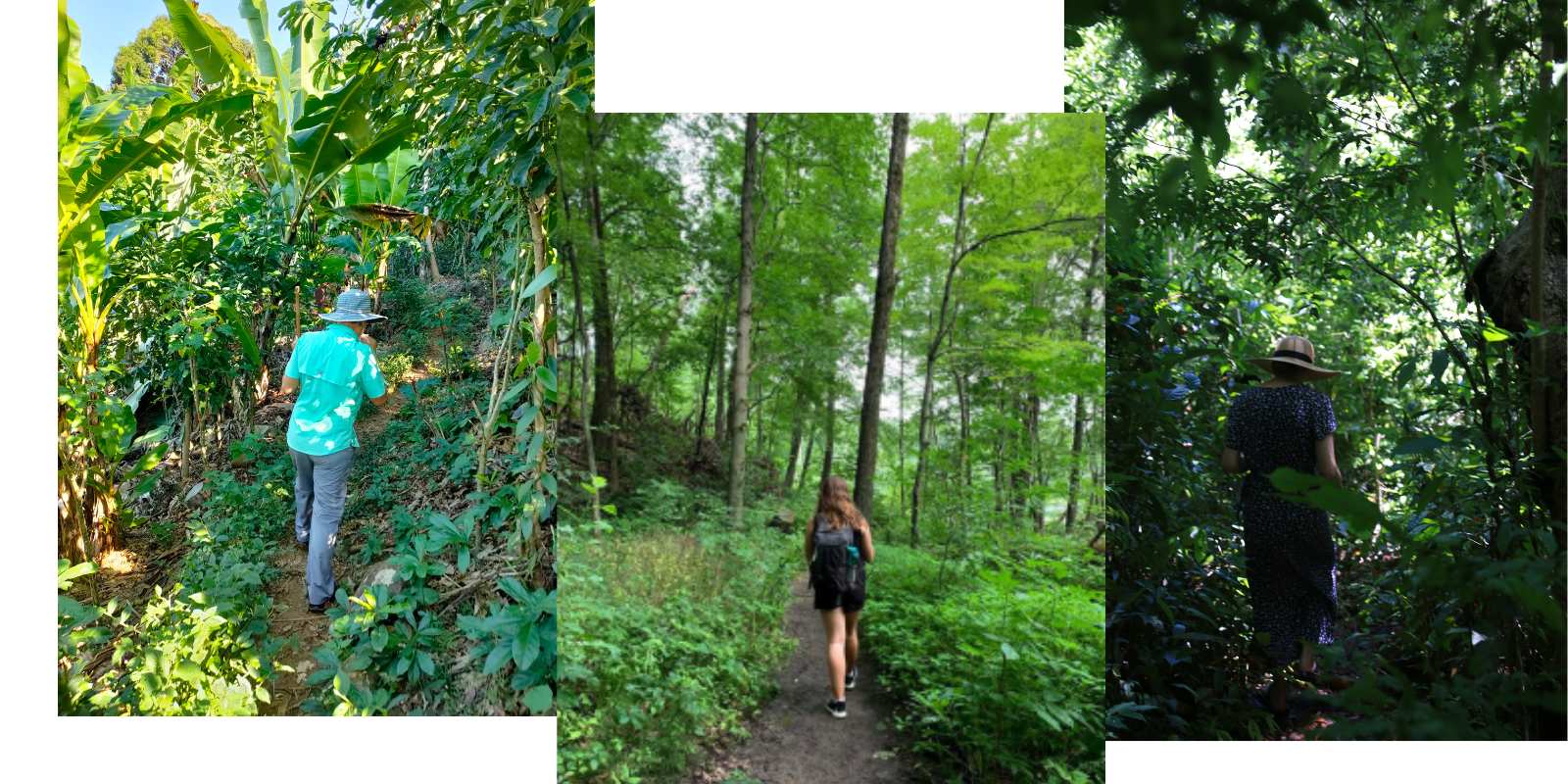 HOME VENUE ACCOMODATION INFO RSVP (12)