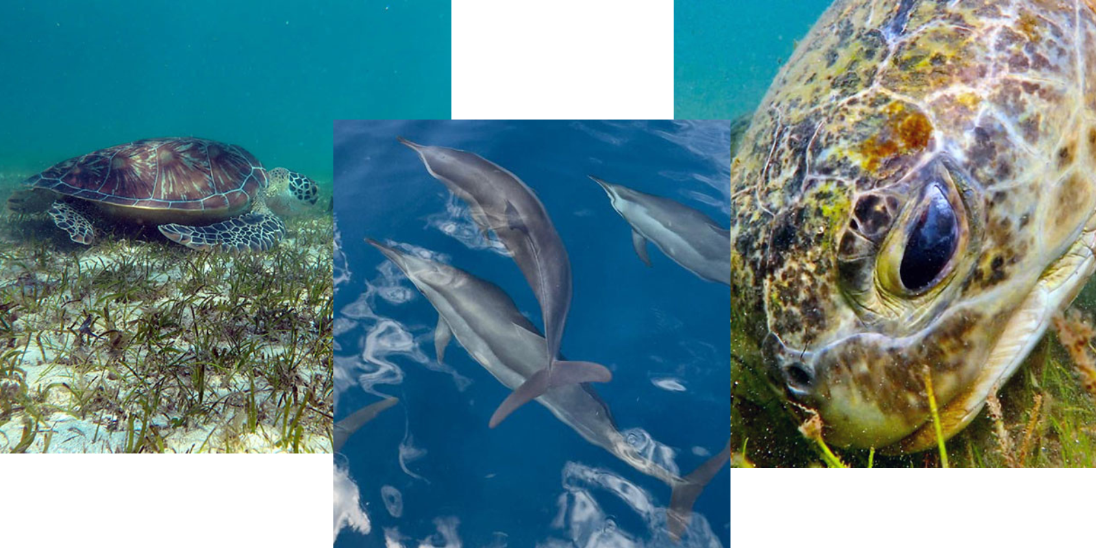 HOME VENUE ACCOMODATION INFO RSVP (13)