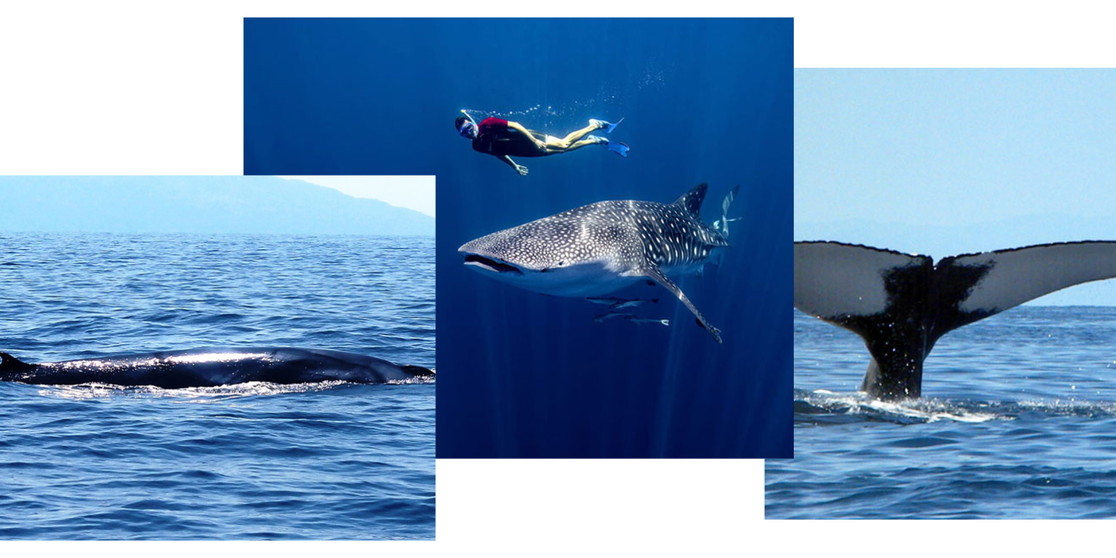 HOME VENUE ACCOMODATION INFO RSVP (14)