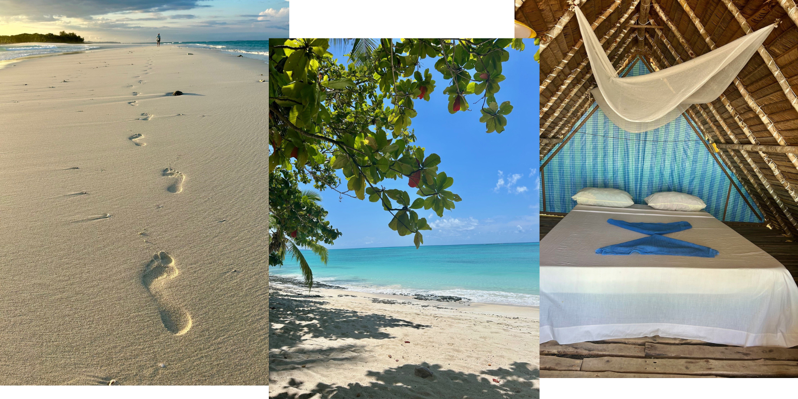 HOME VENUE ACCOMODATION INFO RSVP (18)