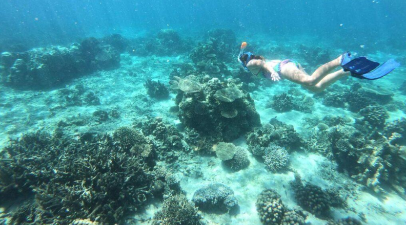 Screenshot 2025-02-12 151443